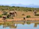 voyage en brousse en afrique du sud